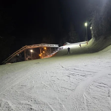 Ljupki Sa Kaminom Апартаменты *